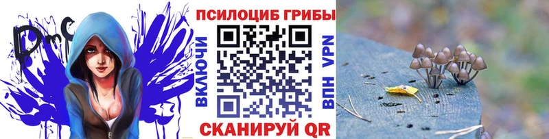Псилоцибиновые грибы Psilocybine cubensis  Купить где  Калининск 